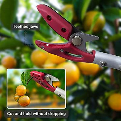 Deli Garden Pruning Shears, 8 Bypass Gardening Pruner, Garden Scissors,  Garden Clippers, Black