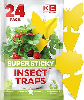  Stingmon 20 Rolls Fly Trap, Fly Traps Outdoor, Fly Traps Indoor  for Home, Sticky Fly Strips, Fly Paper Tape Catcher Ribbon for Gnat Fungus  Fruit Flies : Patio, Lawn & Garden