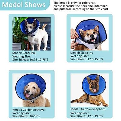 Soft Recovery Cone for Dogs After Surgery - Prevents Wound Touching -  Suitable for Small, Medium & Large Breeds - Pet Surgery Collar for Dogs -  XL Size Available.