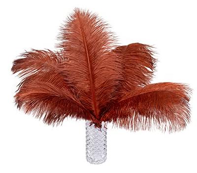 Piokio 20 pcs Natural Black Ostrich Feathers Plumes 8-10 inch(20-25 cm)  Bulk for DIY Halloween Decorations Wedding Party Centerpieces Gatsby  Decorations Black 8-10