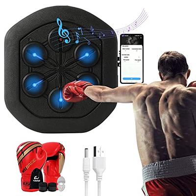 FAJOME Target Boxing Machine, Wall-Mounted Bluetooth Music Boxing