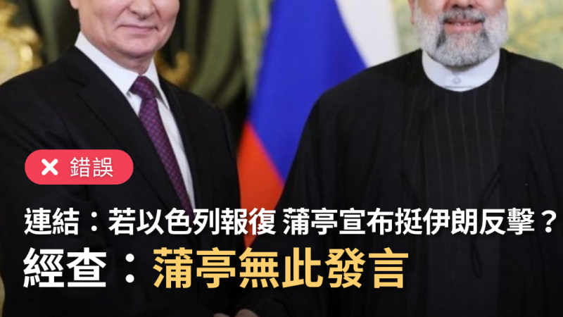 【錯誤】網傳「蒲亭宣布，若以色列對伊朗採取報復行動，將支持伊朗反擊」？