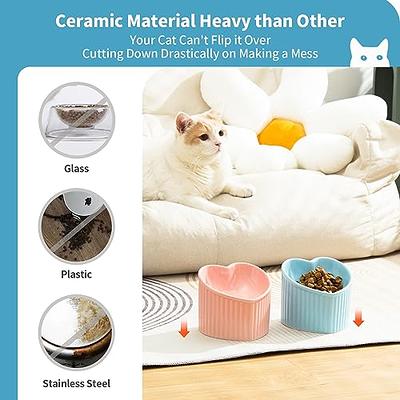 Ceramic Tilted Raised Cat Food and Water Bowl Set, Elevated Stress Free Feeding  Pet Bowl Dish for Cats and Small Dogs, Protect Cat's Spine, White & Grey,  Set of 2 - Yahoo Shopping