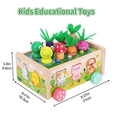 KMTJT Toddlers Montessori Wooden Educational Toys for Baby Boys Girls Age 1  2 3 Year Old, Shape Sorting Toys Gifts for Kids 1-3, Wood Preschool  Learning Fine Motor Skills Game 