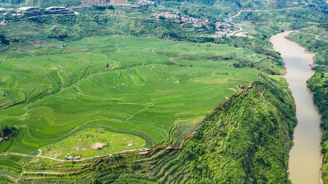 FOTO Pemandangan  Sawah  Terasering di Guizhou