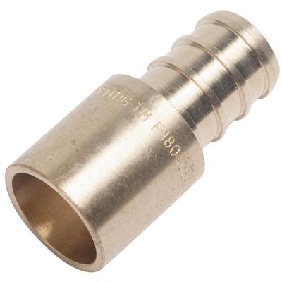 LTWFITTING 1/2 in. FIP Brass Pipe Coupling Fitting (5-Pack