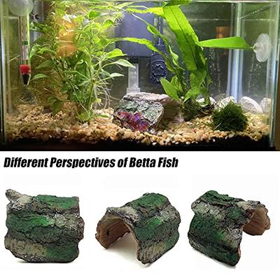 2 Pack Betta Log Resin Hollow Tree Trunk Ornament, Aquarium Hideout Reptile  Cave Ornament Terrarium Fish Tank Decoration - Yahoo Shopping