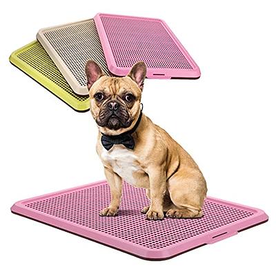 Skywin Pee Pad Holder Tray for 30 x 23 Training Pads, Silicone Wee Wee Pad  Holder, No Spill and Leaks Puppy Pad Holder Easy to Clean and Store Dog Pad