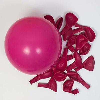 60pcs, Rose Red Party Latex Balloons, 5inch Hot Pink Balloon Garland KIt,  Dark Pink Balloons Fuschia Balloon Matte Rose Red Balloons For Cowgirls Birt