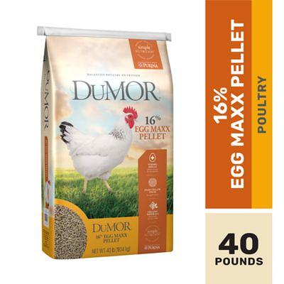 DuMOR Equistages Equine Feed, 50 lb.