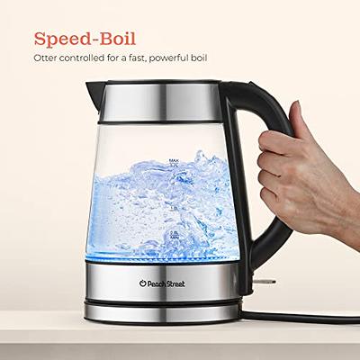 Best Electric Water Boiler and Warmer Combination Kettle for Tea, Coffee, &  Milk - Best Kitchenware 