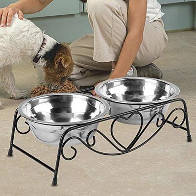 Double Elevated Cat & Small Dog Bowls Feeding Station, Raised Cat