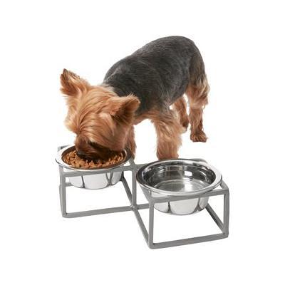 FRISCO Double Wall Insulated Dog & Cat Bowl, Maroon, 6 cup, 1