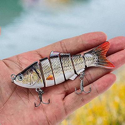 Multi Jointed Swimbaits,10cm 17g Fishing Lure 6 Segment Attractive Plastic  Simulation Hard Bait Bionic for Night Fishing Portable for Fishing Lover  Freshwater Saltwater Angling - Yahoo Shopping