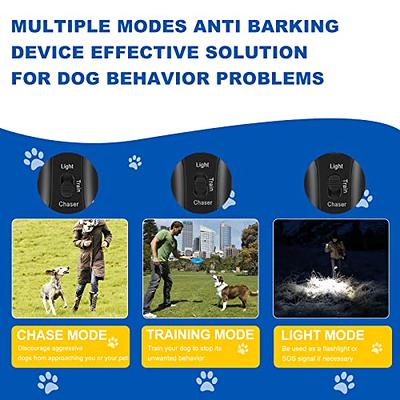 Dog Training Tools vs. Dog Management Tools