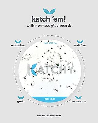 Katchy Indoor Insect Trap - Catcher & Killer for Mosquitoes, Gnats, Moths,  Fruit Flies - Non-Zapper Traps for Inside Your Home - Catch Insects Indoors  with Suction, Bug Light & Sticky Glue (