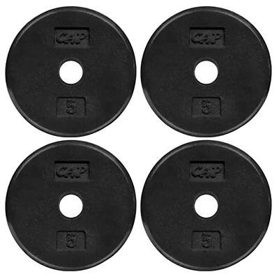 Yes4all 1-Inch Cast Iron Weight Plates for Dumbbells Standard Weight