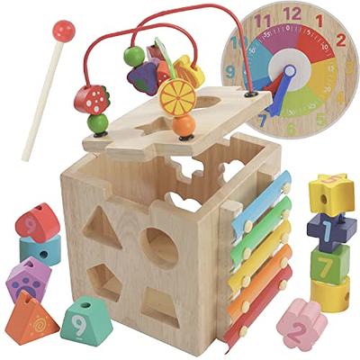 Montessori Toys for 1 Year Old Girl Birthday Gift - 7 in 1 Montessori Toys  fo