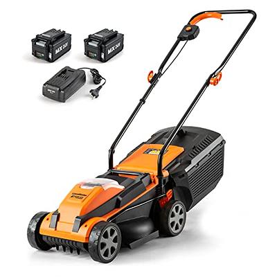 BLACK+DECKER 60V MAX 20 in. MAX Battery Powered Walk Behind Push Lawn Mower  with (2) 2.5 Ah Batteries & Charger CM2060C - The Home Depot