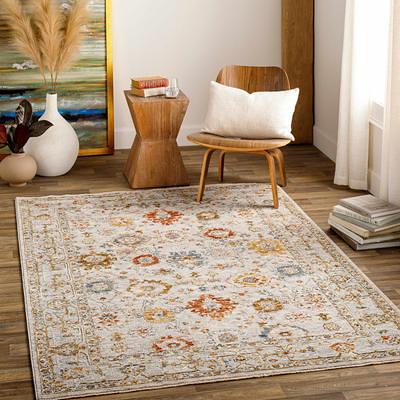 Cream and Tan Farmhouse Accent Rug, Entryway Rugs