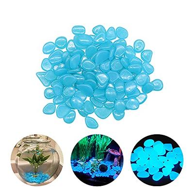 aoozleny Fish Tank Rocks Glow Multi-Colored Glow in The Dark Pebbles for  Fish Tank Aquarium Garden Plant Pots Bonsai Walkway (100 Pcs) (Blue) -  Yahoo Shopping