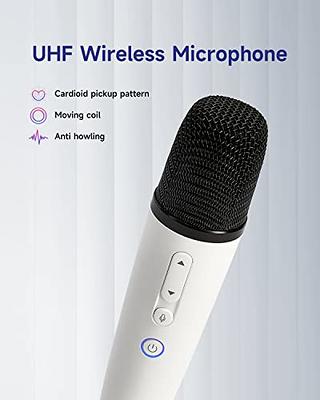 FerBuee USB Wireless Microphone Kit
