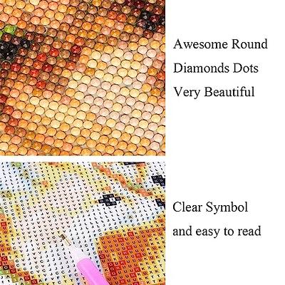 Diamond Painting Little Boy, DIY 5D Large Diamond Art Kits for Adults  Embroidery Round Full Drill Dots Crystal Rhinestone Paint by Numbers Kids