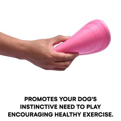 Pet Supplies : Kong Flyer - Rubber Dog Frisbee, Soft Rubber Dog Fetch Toy  for Improving Dogs Mental & Physical Development, Teething, Exercising,  Supports Bigger Breeds, Non-Toxic Soft Frisbee, Black (2-pack) 
