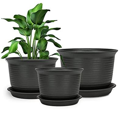 WOUSIWER 16 Pack 6 inch Plastic Planters for Indoor Flower Pots, Heavy Duty  and Stylish 6 Inch Plant Pots for Indoor Plants with Drainage Holes and  Tray for Plants, Flowers, White - Yahoo Shopping