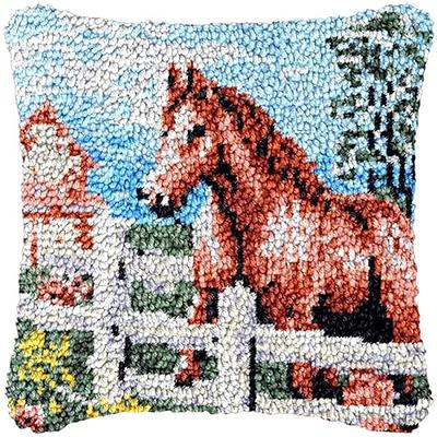 Leisure Arts Latch Hook Kit Strawberry Fields, 12 x 16, Latch