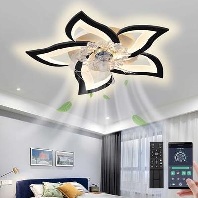 Ahawill Fandelier Ceiling Fans With Lights And Remote Modern Flush Mount Fan Light 6 Sds Timing Low Profile For Bedroom Study Dining Room Etc 19 7 Black Yahoo Ping