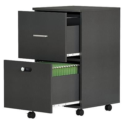 2 Drawer Rolling Filing Storage Cabinet with 2 Locking Wheels