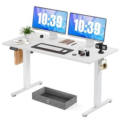 55x24'' Electric Standing Desk Adjustable Height Stand