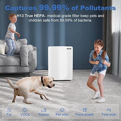 Air Purifier for Home Large Room: True HEPA Air Filter for Allergies Pets  Asthma Smoke Air Cleaner - 2087 Sq Ft Coverage Removes 99.9% of Pet Dander  Dust Mold Odors Pollen - Yahoo Shopping