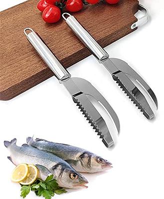  Fish Scaler Brush Fish Scaler Remover with Stainless Steel  Sawtooth Easily Remove Fish Scales-Cleaning Brush Scraper Kitchen Tool:  Home & Kitchen