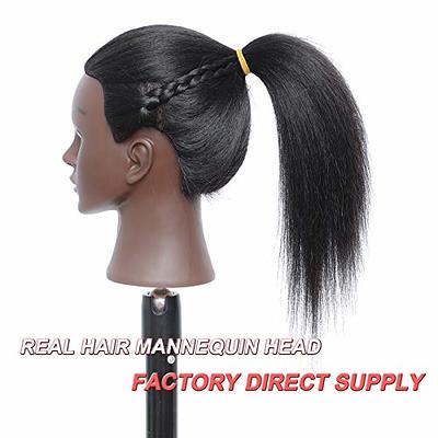 Mannequin Head with Human Hair Manikin Head 16100% Real Hair Mannequin  Head Hairdresser Training Head Cosmetology Manikin Practice Training Head  Doll Head with Free Stand (B16) - Yahoo Shopping