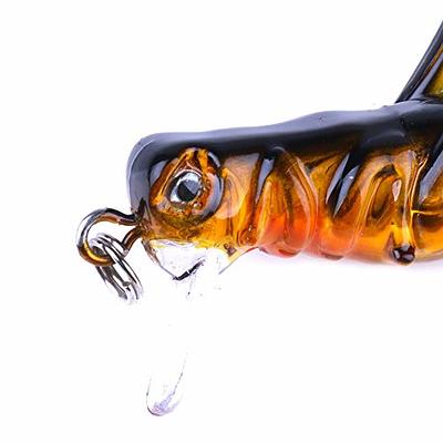 LURESMEOW 5pcs Cricket/Grasshopper Crankbait Fishing Lures,Bionic Mini  Fishing Lures,Fishing Hard Baits,Baits Topwater Lures for Freshwater and  Saltwater,Trout Bass Fishing Lures (1.38in/0.1oz/5pcs) - Yahoo Shopping