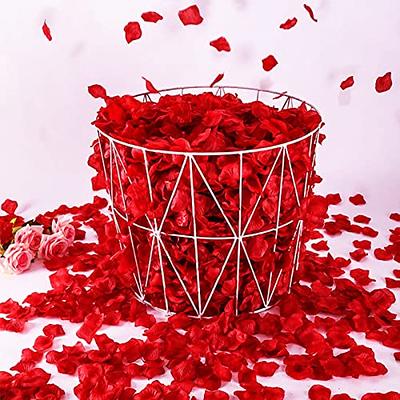 Yabesty Rose Pedals Red Silk Rose Petals 1000 PCs Flower Petals for  Proposal Decorations Romantic Decorations Special Night - Yahoo Shopping