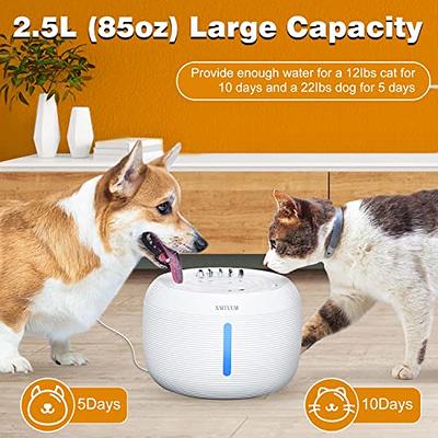 74oz/2.2L Automatic Pet Water Fountain Dog Water Dispenser, Stainless Steel  Cat Water Feeder