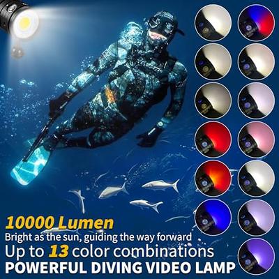 eremido Scuba Diving Light, Rechargeable Battery, 1000 Lumens