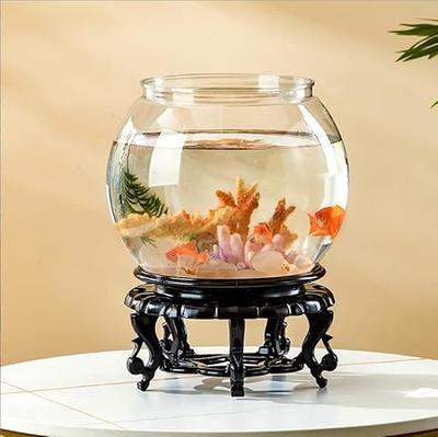 small plastic fish tank