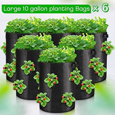  WHATWEARS 12-Pack 10 Gallon Plant Grow Bags