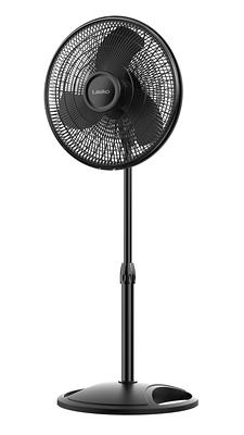   Basics 3 Speed Small Room Air Circulator Fan, 7-Inch  Blade, Black, 6.3D x 11.1W x 10.9H : Home & Kitchen