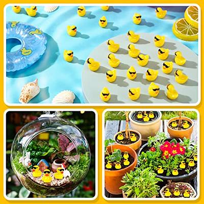  200 PCS Mini Ducks, Resin Luminous Tiny Ducks Glow in the Dark, Small  Resin Luminous Animals Miniature Figures Ducks in Bulk for Garden Potted  Plants Dollhouse Dark Party Decorations (10 Colors) 