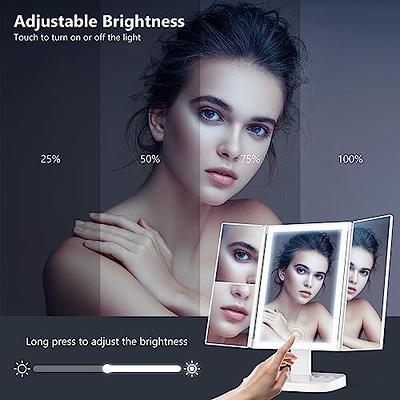  Fancii LED Lighted Large Vanity Makeup Mirror with 10X  Magnifying Mirror - Dimmable Natural Light, Touch Screen, Dual Power,  Adjustable Stand with Cosmetic Organizer - Gala