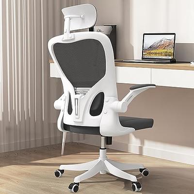 Ergonomic Office Chair with Lumbar Support Computer Chair