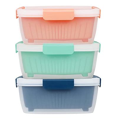 5 PCS Large Fruit Containers for Fridge - Stackable Airtight Food Storage  Containers with Removable Colander - Dishwasher & microwave safe Produce