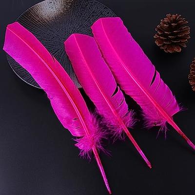 Soarer Colorful Craft Turkey Feathers - 300pcs 3-5inch Colored for