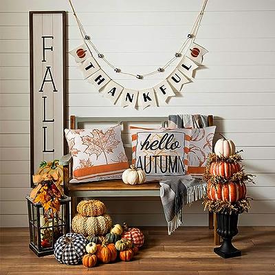 Fall Decor Throw Pillow Covers 18x18 Set of 4, Hello Autumn Pumpkin Black