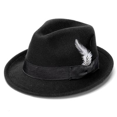 Hat Feathers, 10 Pcs Assorted Natural Feather Packs Accessories for Fedora,  Cowboy, Open Road, Borges, Scott, Trilby Hats